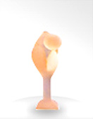 ��������ʱ(��ҳ)�������ǲ�!